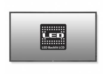 NEC MultiSync® P703