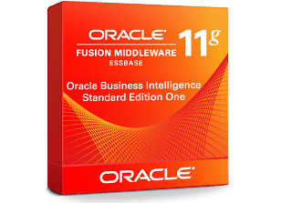 Oracle Business Intelligence Standard Edition