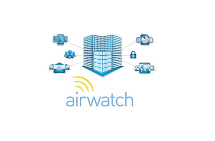 AirWatch by VMware Enterprise Services Annual Fee, 1 год Fee / Company